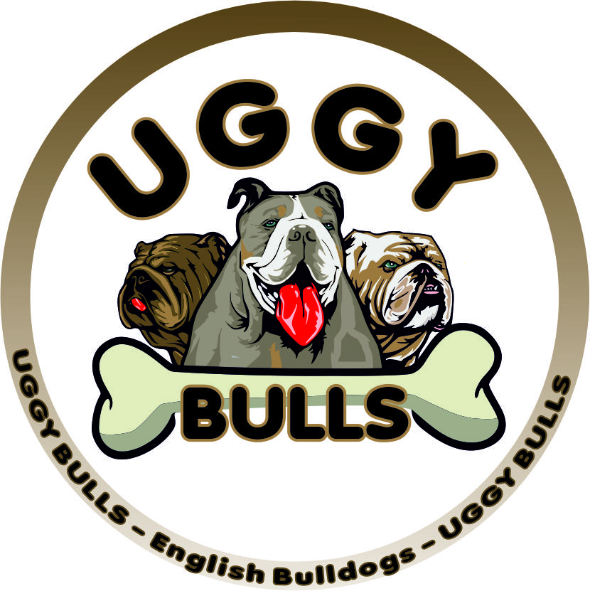 Uggy Bulls