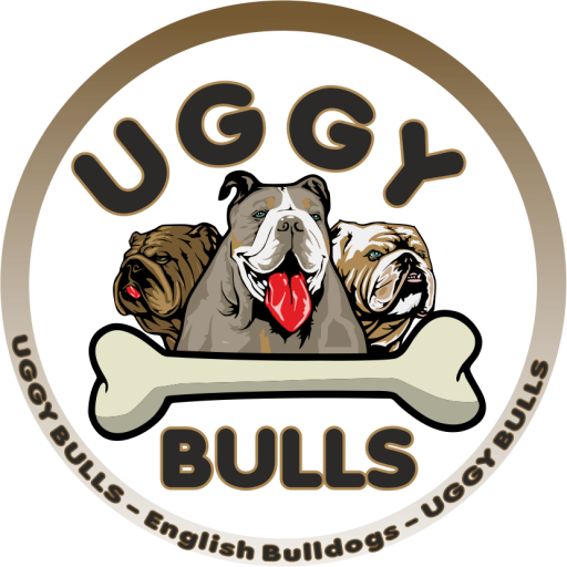Uggy Bulls